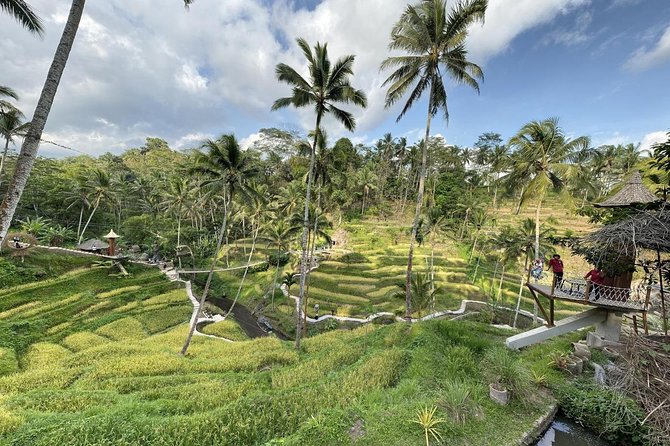 coconut wine and coffee safary tour - Price and value of a $69 private tour
