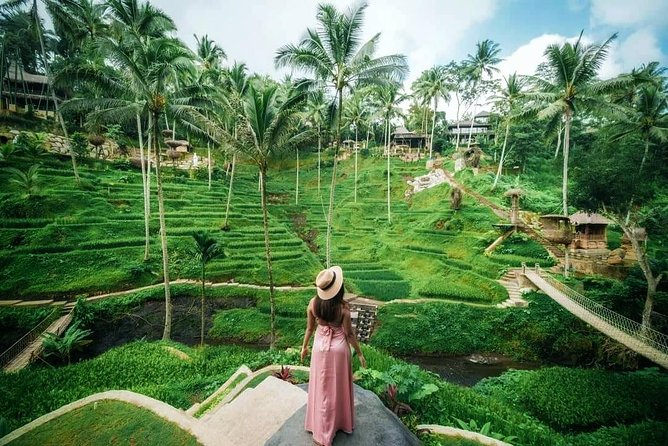Cretya Ubud and Monkey Forest Sanctuary Tours - A private Ubud day that fits Celuk, monkeys, Cretya, and Tegenungan
