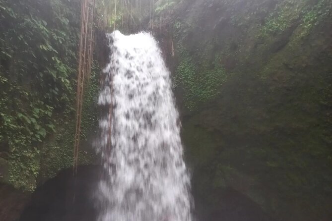 CRETYA Ubud infinity Pool + Hidden Water fall + Water Temple Tour - Price and value: what $65 really buys you