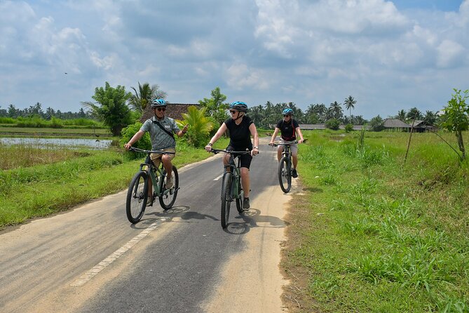 Cycling and Cooking Class in Ubud - What You Actually Eat: The Meal Tastes Better When You Made It