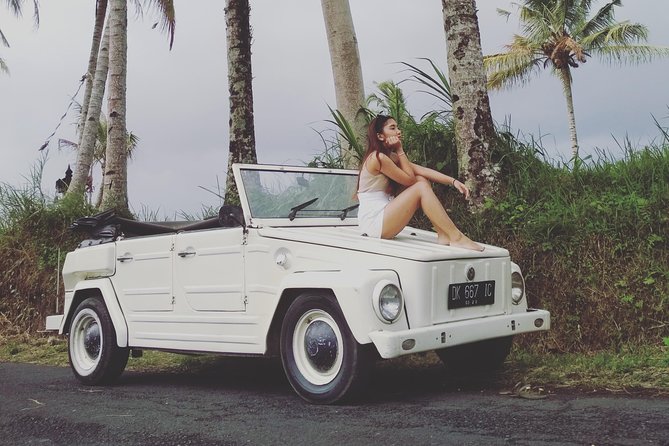 Daily VW Tour - Ubud VW Tour - Key highlights you’ll feel on the day