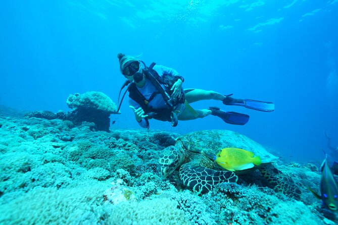 Day Trip Discover Scuba dive in Nusa Penida 2 dives (From Sanur - South Bali) - How the Sanur to Nusa Penida day trip actually plays out