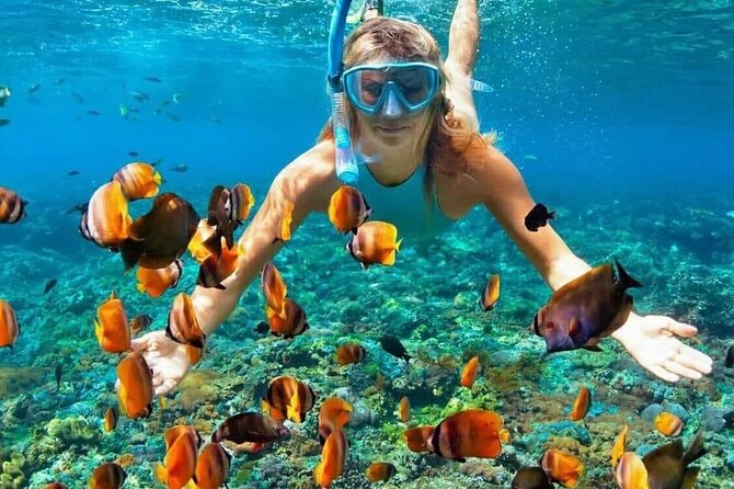Day Trip: Nusa Penida Snorkling - Snorkeling at Manta Point, Crystal Bay, and Gamat Bay