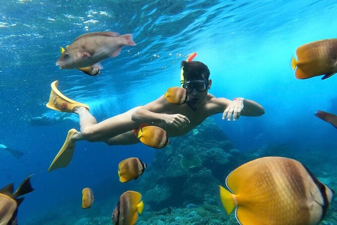Day Trip: Nusa Penida Snorkling - Lunch in a Local Restaurant With Island Views