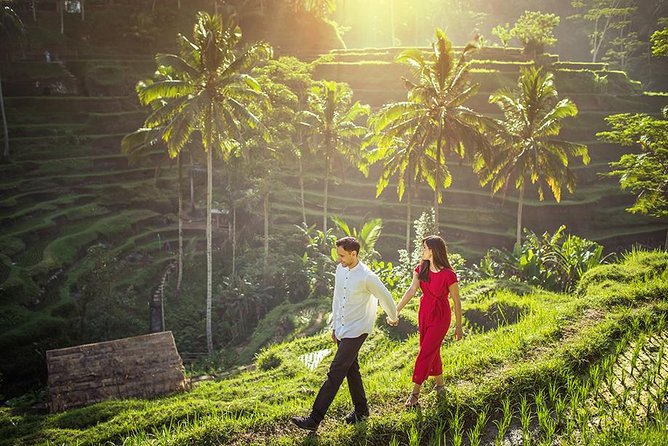Day Trip: Ubud Monkey Forest, Rice Terrace, Temple and Waterfall - Tegalalang Rice Terraces: the view is the lesson