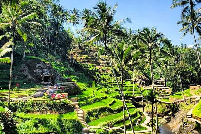 Design Your Own Bali Tour - The drivers: why Aman, Adit, and Putu keep getting named
