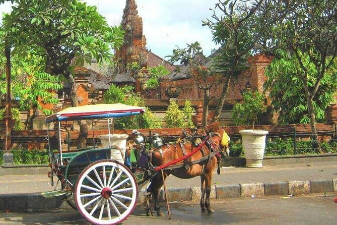 Discover Bali : Shore Excursion from Benoa Port with Free Wi-Fi - Key highlights before you go