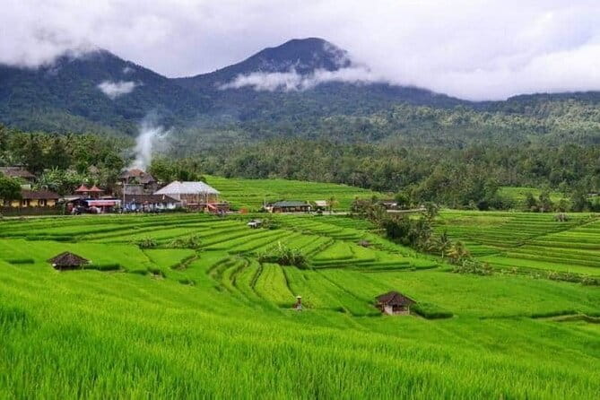 Discover Bali : Shore Excursion from Benoa Port with Free Wi-Fi - Ubud for Palace and Market Time: Culture Without the Full-Day Commitment