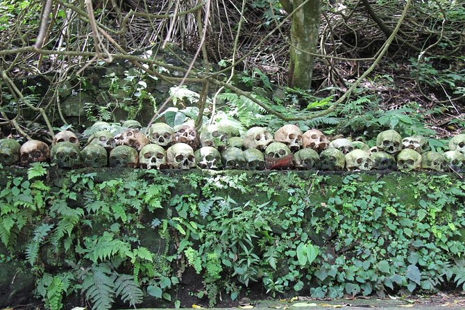 Discover Balinese Mystic & Death Ritual in Bali - Stop 3: Kintamani Plateau for Mount Batur and the lake