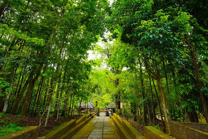Discover Hidden Waterfall, Unesco Rice Terraces and Mountain Temple - Lunch and Water: The Small Things That Keep the Day Easy