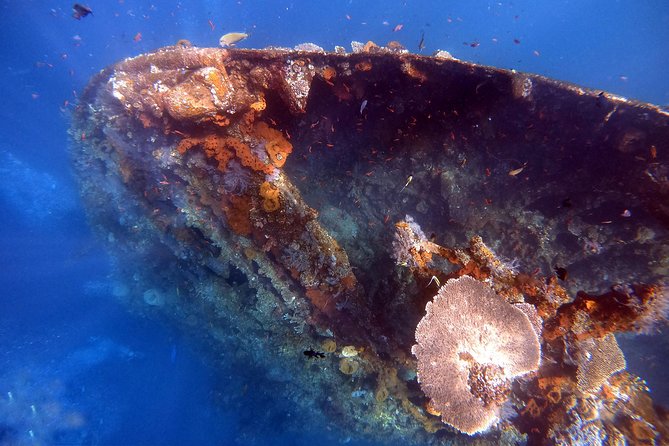 Discover Scuba Diving - A Small-Group Scuba Basics Day That Actually Feels Manageable