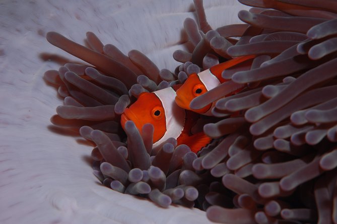 Discover Scuba Diving - Gear, Towels, and Photo Memories That Make the Day Feel Complete