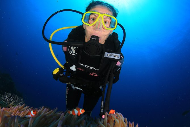 Discover Scuba Diving - Who This Intro Scuba Experience Fits Best