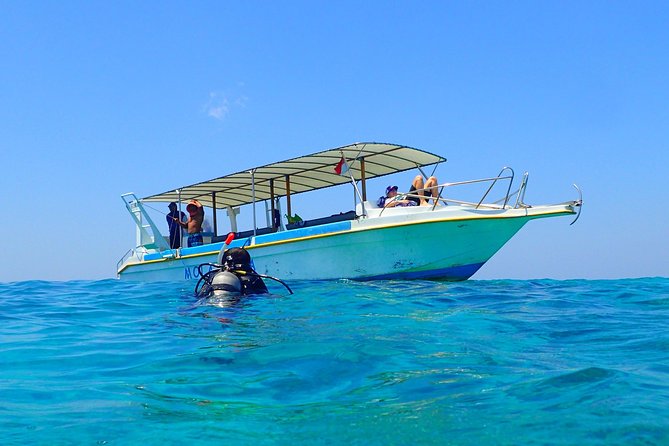 Discover Scuba Diving and dive in Menjangan Island Marine Park 2 dives - The PADI coaching flow: theory, pool practice, then real water