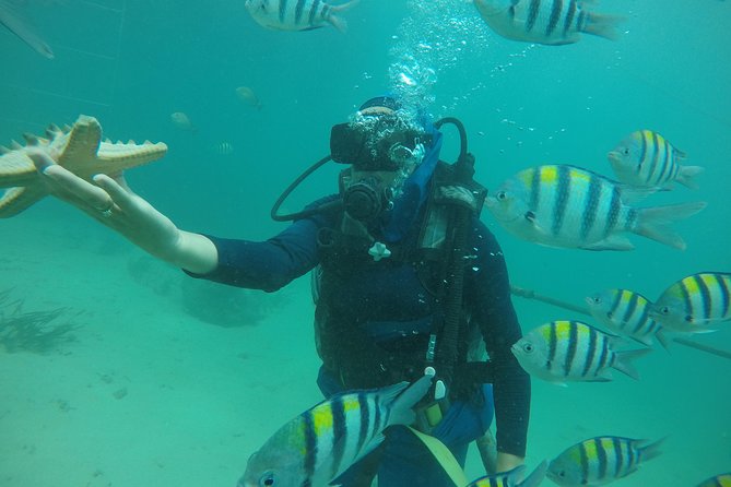 Discover Scuba Diving ( beginners) Combined With Jet Ski - Nusa Dua’s beginner scuba plus jet ski: what makes the combo work