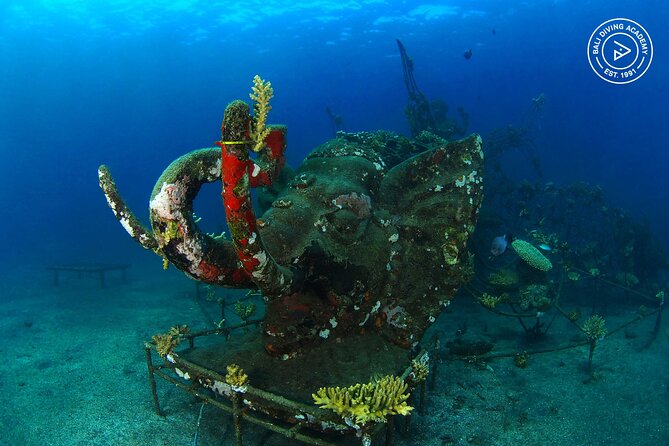 Discover Scuba Diving in Pemuteran at the Biorock site,1 shore dive all included - Logistics that affect comfort: timing, pickup, group size, and included gear