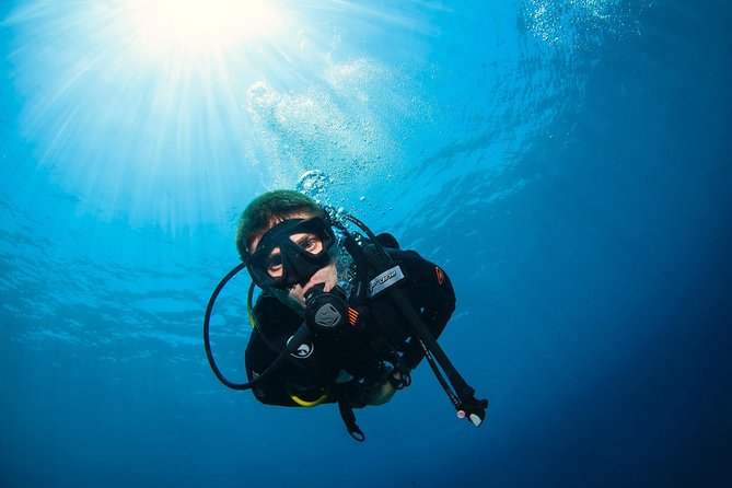 Discover Scuba Diving in Pemuteran - Diving Initiation in Bali (Menjangan Park) - Who this course fits best (and who should think twice)