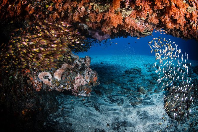 Discover Scuba Diving in Tulamben - Diving Initiation in Bali best diving sites - Stop 2: Tulamben Beach and the Practical Reality of Getting Ready