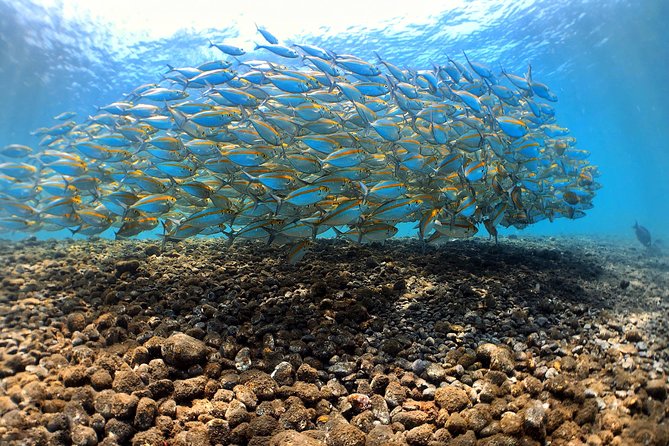 Discover Scuba Diving Tulamben Bali For Non-Certified Divers - Why Tulamben’s USAT Liberty Feels Beginner-Friendly