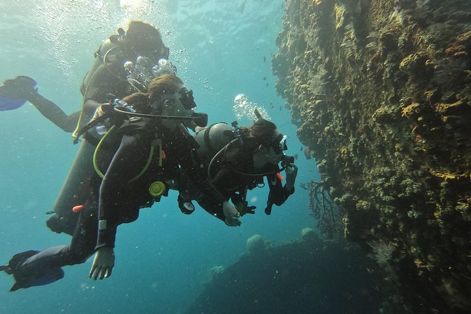 Discover Scuba Diving Tulamben Bali For Non-Certified Divers - USAT Liberty Underwater: What You’ll See and How the Day Is Timed