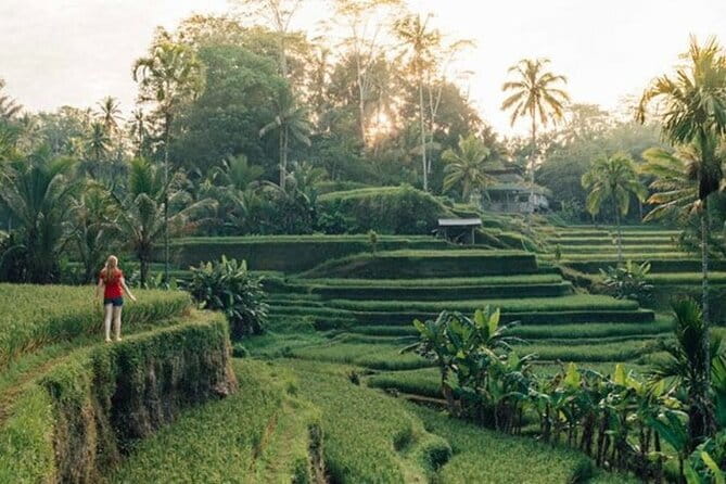Discover The Best North of Bali with Private Guide Tour - Key Highlights You’ll Actually Care About
