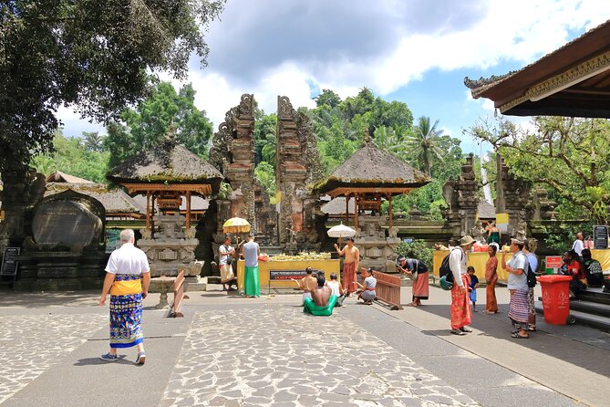 Discover The Best of Ubud: All-Inclusive and Private Guided Tour - Tegalalang Rice Terraces and Ulu Petanu: two kinds of nature time