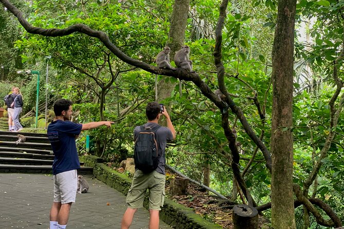 Discover The Best of Ubud: All-Inclusive and Private Guided Tour - Tirta Empul Temple: sacred water and practical temple etiquette