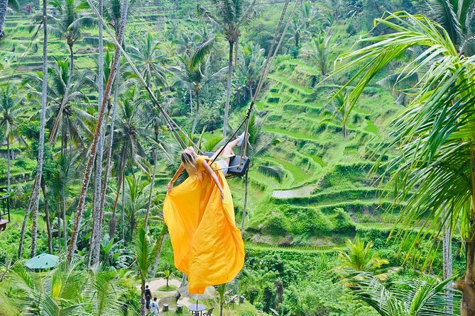 Discover The Best of Ubud: All-Inclusive and Private Guided Tour - The driver-guide and car setup: Wi‑Fi, A/C, and safer road skills