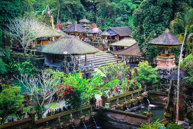 Discover Ubud: 2 Days Ubud Private Tour - Price and Logistics: What You’re Actually Paying For