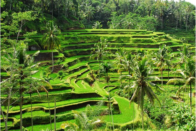 Discover Ubud: 2 Days Ubud Private Tour - Day 1 in Ubud: Batubulan Dance, Monkey Forest, and Tegalalang Views
