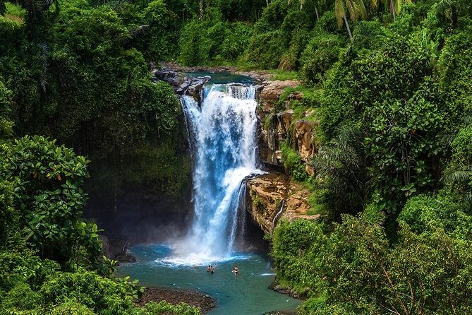 Discover Ubud: Exotism Ubud and Optional Meet the Bali Shaman - Tegalalang Rice Terrace: farm life and the views that matter
