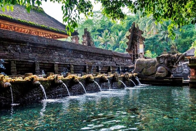 Discover Ubud: Exotism Ubud and Optional Meet the Bali Shaman - Monkey Forest and the Bucket List coffee plantation: fun contrast, same day flow