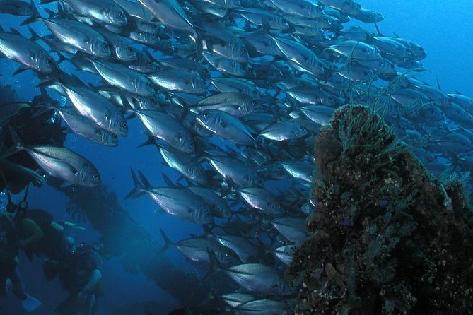 Dive at Tulamben Bali USS Liberty Ship Wreck - Tulamben Beach stop: where the day starts at the water