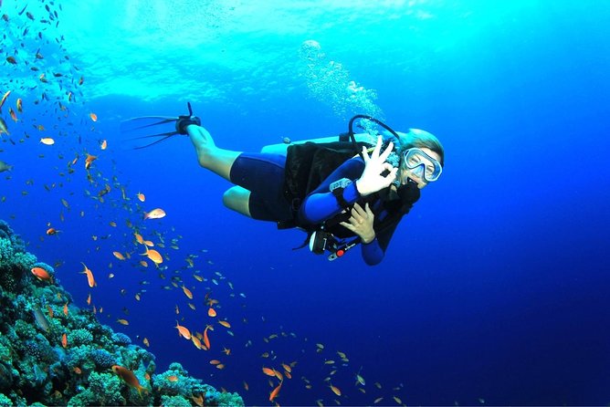 Dive at Tulamben Bali USS Liberty Ship Wreck - What’s included (and what you pay extra for) with the $110 price