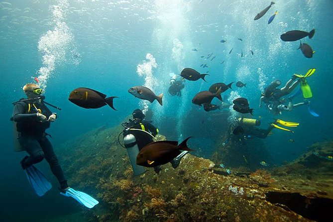 Dive at Tulamben Bali USS Liberty Ship Wreck - Who this suits best in Bali (and who might want another plan)