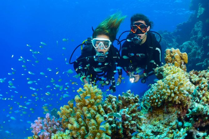 Dive at Tulamben Bali USS Liberty Ship Wreck - Should you book the USS Liberty wreck experience?