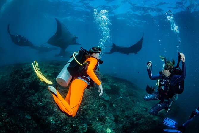 Diving in Nusa Penida - Key Things That Make This Scuba Day Worth It