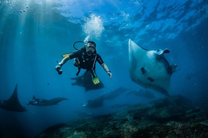 Diving in Nusa Penida - Meeting Point and Getting There (No Hotel Pickup)