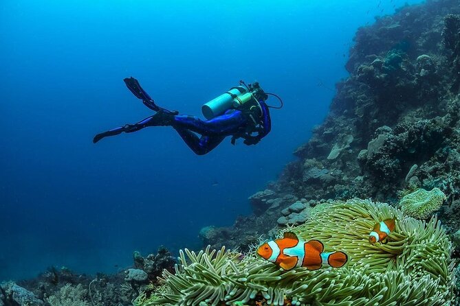 Diving in Nusa Penida - Pool Training: The Part That Makes the Ocean Feel Manageable