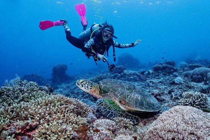 Diving with Manta Ray at Nusa Penida - On the water: shared speedboat and small-group pacing