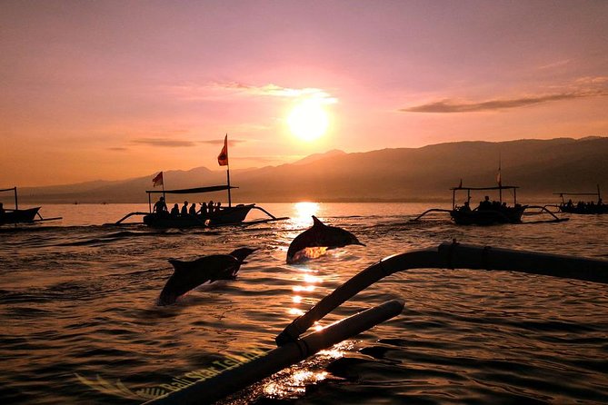 Dolphin Tour and Sunrise Watching in Lovina Beach - All Inclusive - Key highlights at a glance