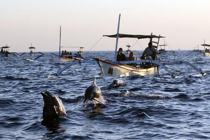 Dolphin Tour and Sunrise Watching in Lovina Beach - All Inclusive - What this day feels like (and why it works)