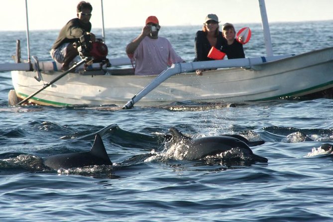 Dolphin Tour and Sunrise Watching in Lovina Beach - All Inclusive - The 3:00–3:30am pickup: how this tour saves (and costs) your energy