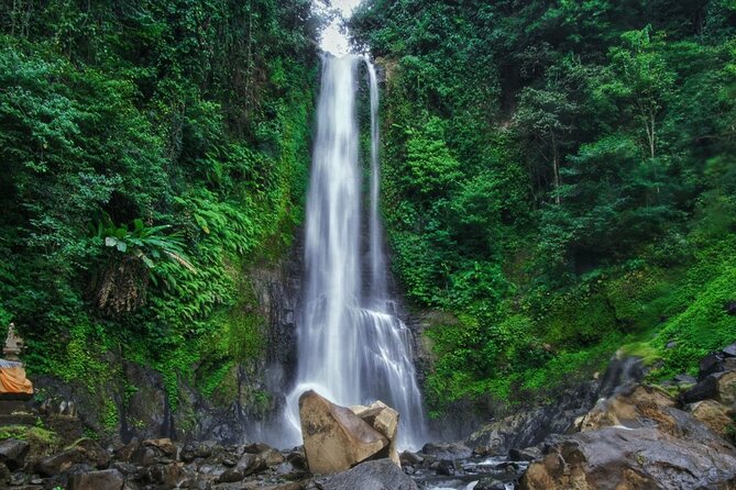 Dolphin Tour and Sunrise Watching in Lovina Beach - All Inclusive - Optional add-ons: adding a waterfall and a temple