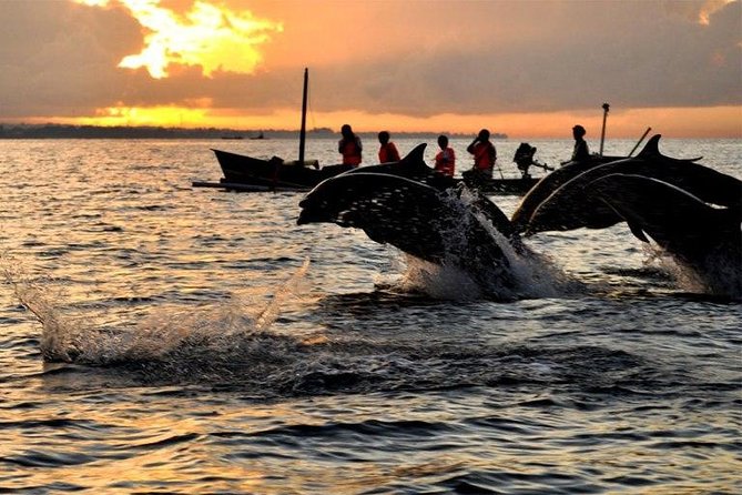 Dolphin Tour and Sunrise Watching in Lovina Beach - All Inclusive - Lovina dolphins: timing, boat views, and how to spot spinner dolphins