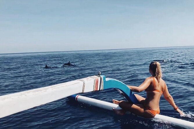 Dolphin Watching Tour, Swimming with Dolphins and Snorkeling - Key highlights worth getting excited about