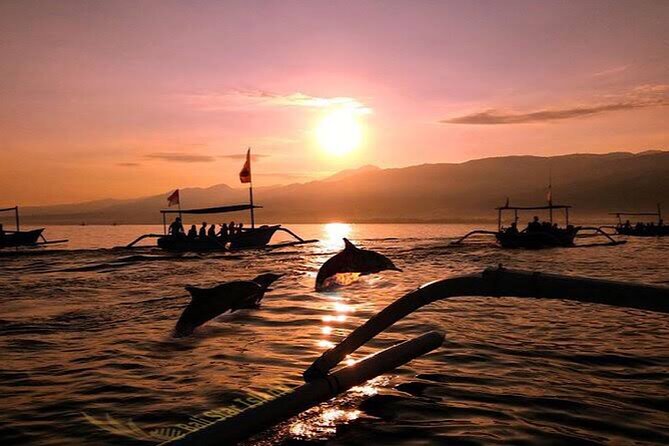 Dolphin Watching Tour, Swimming with Dolphins and Snorkeling - Pickup from Ubud to Lovina: the early start made easier