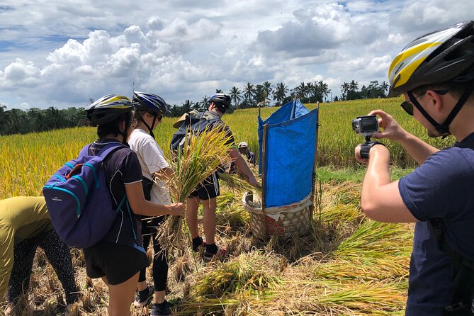 Downhill Cycling Ubud with Volcano, Rice Terrace and Educational - Gear, helmets, and real-world safety tips