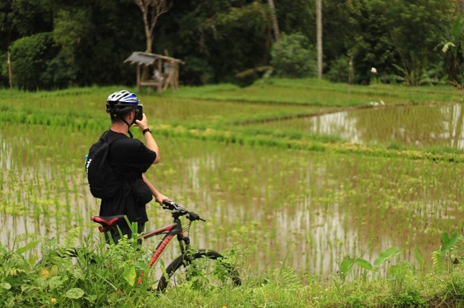 Downhill Cycling Ubud with Volcano, Rice Terrace and Educational - Who should book this downhill cycling tour, and who should skip it