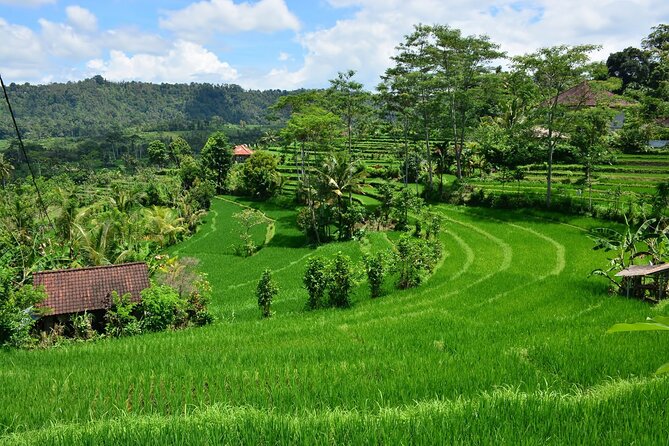 East Bali Tour: Gate of Heaven, Water Palace, Sleeping Gajah - Private comfort: Toyota Innova, bottled water, and less stress